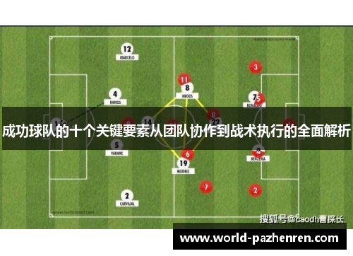 成功球队的十个关键要素从团队协作到战术执行的全面解析