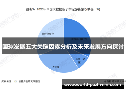 国球发展五大关键因素分析及未来发展方向探讨