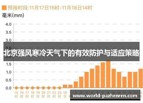 北京强风寒冷天气下的有效防护与适应策略