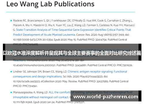 以欧冠水准深度解析并呈现其与全球主要赛事的全面对比研究综述篇 以欧冠水准深度解析并呈现其与全球主要赛事的全面对比研究综述篇