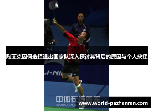 陶菲克因何选择退出国家队深入探讨其背后的原因与个人抉择 陶菲克因何选择退出国家队深入探讨其背后的原因与个人抉择