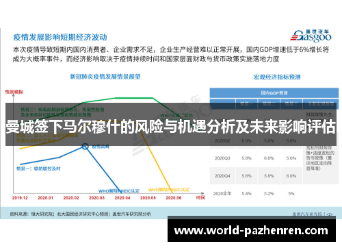 曼城签下马尔穆什的风险与机遇分析及未来影响评估