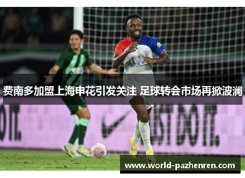 费南多加盟上海申花引发关注 足球转会市场再掀波澜 费南多加盟上海申花引发关注 足球转会市场再掀波澜